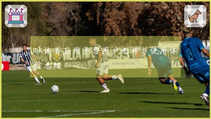 mk体育应用平台用户测评与使用体验总结