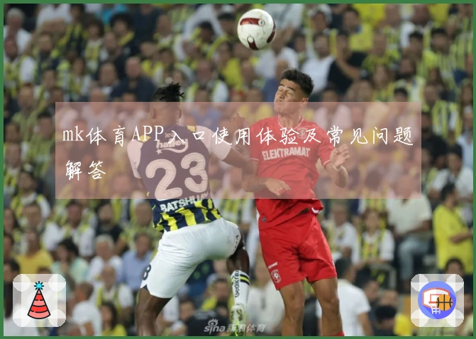 mk体育APP入口使用体验及常见问题解答