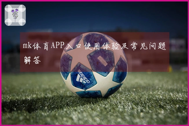 mk体育APP入口使用体验及常见问题解答