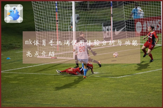 mk体育手机端使用体验分析与功能亮点介绍