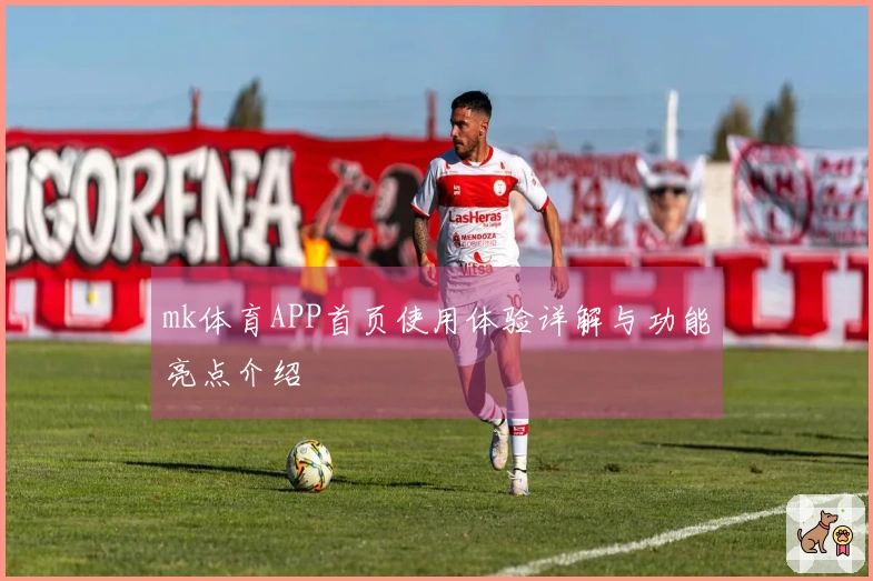 mk体育APP首页使用体验详解与功能亮点介绍