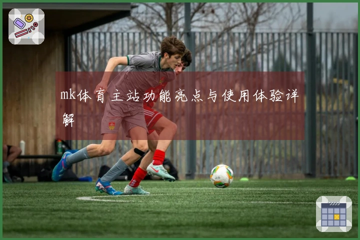 mk体育主站功能亮点与使用体验详解